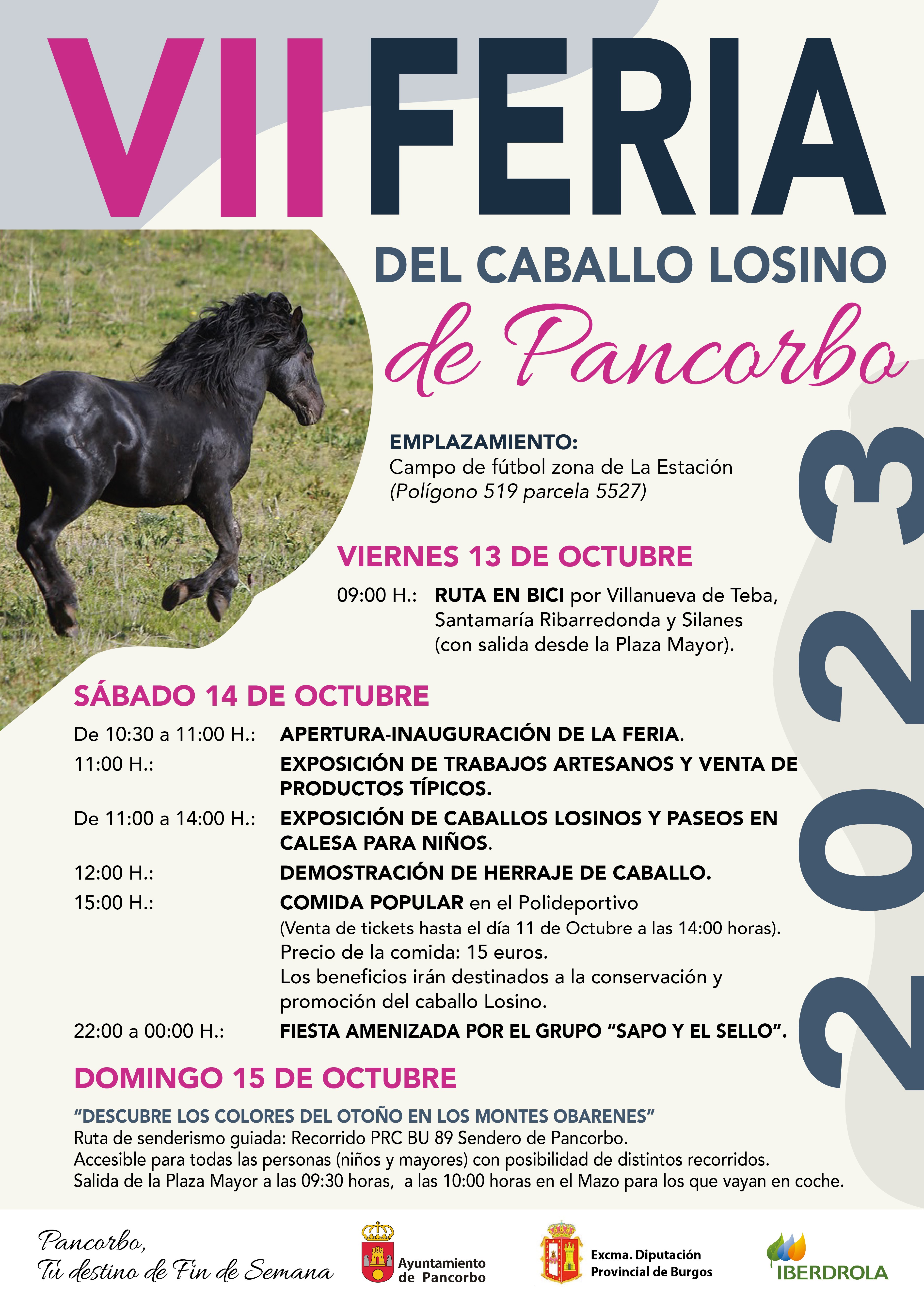 Cartel de la VII Feria del Caballo Losino de Pancorbo