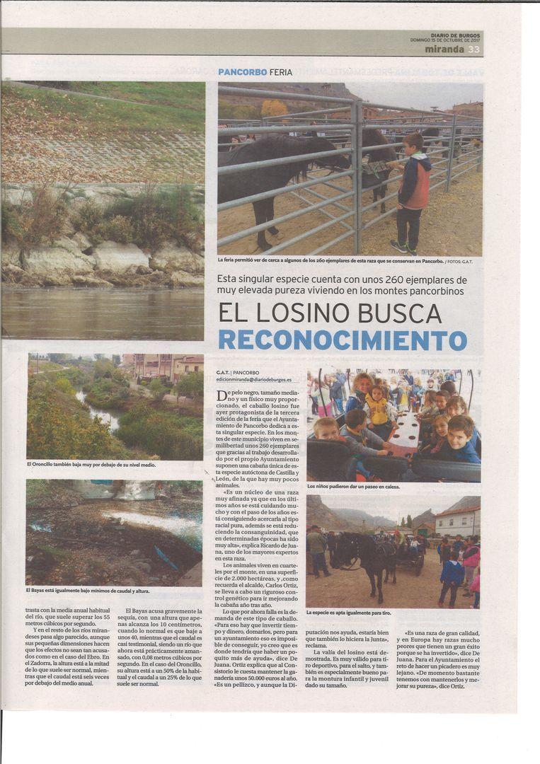 EL LOSINO BUSCA RECONOCIMIENTO