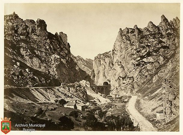 Fotografía de la galería de imágenes con id: 1547